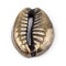 The Bead Chest Antiqued Brass Cowrie Shells (Set of 5): Metal Beads for DIY Crafts & Jewelry-Making Inspired by African Sea Shells